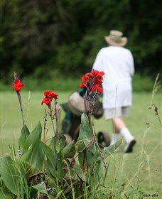 Teven Valley Golf Course - Accommodation Brisbane 3