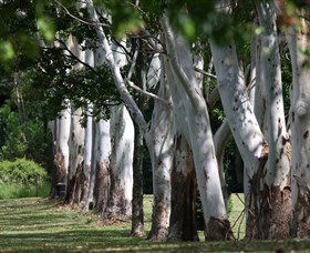 Teven Valley Golf Course - Accommodation Brisbane 1