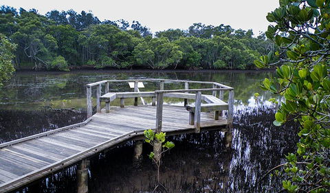 Walk On Water Walking Track - Accommodation Brisbane 0
