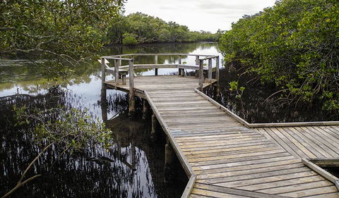Walk On Water Walking Track - Accommodation Brisbane 1