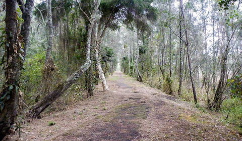 Walk On Water Walking Track - Accommodation Brisbane 2