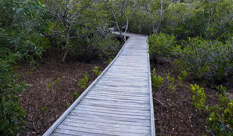 Walk On Water Walking Track - Accommodation Brisbane 3