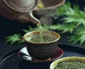World Par-TEA - Accommodation Brisbane 0