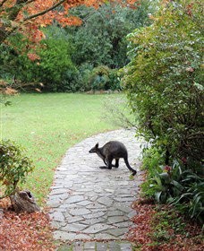 Narek Galleries - Accommodation Brisbane 2