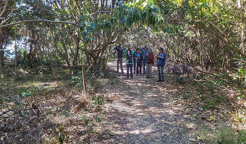 Brunswick Heads Nature Reserve - Accommodation Brisbane 3