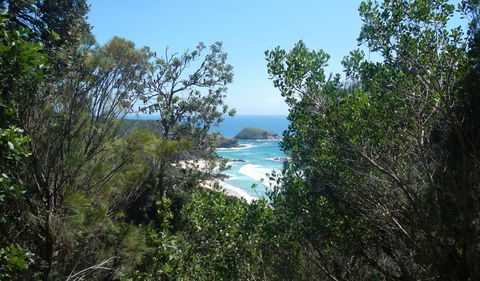 Jack Perkins Walking Track - Accommodation Brisbane 1