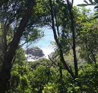 Rainforest walking track - Accommodation Brisbane