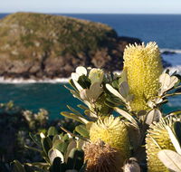 Green Island walking track - Accommodation Brisbane