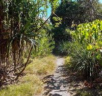 North Head walking track - Accommodation Brisbane