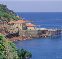 Merimbula Aquarium - Accommodation Brisbane