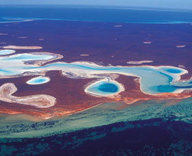 Big Lagoon - Accommodation Brisbane 1
