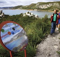 Rocky Cape National Park - Accommodation Brisbane