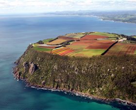 Table Cape - Accommodation Brisbane 0