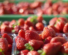 Turners Beach TAS Accommodation Brisbane