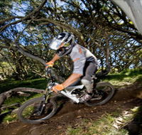 All Terrain Cycles - Accommodation Brisbane