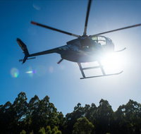 Tall Timbers Adventure Tours - Accommodation Brisbane