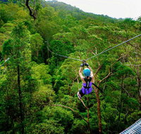 Canyon Flyer - Accommodation Brisbane