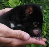 Crawn Motors - Accommodation Brisbane