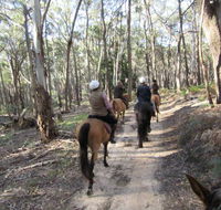 Silver Brumby Trails - Accommodation Brisbane