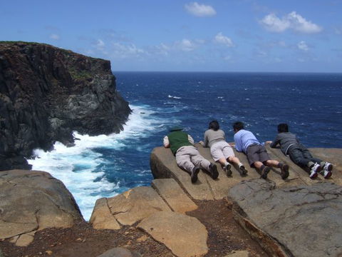 Out Of Sight Tours - Accommodation Brisbane 0
