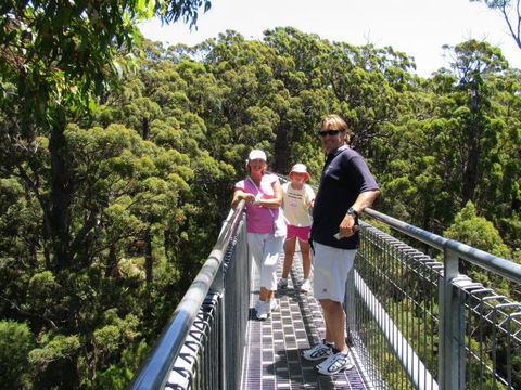 Out Of Sight Tours - Accommodation Brisbane 17