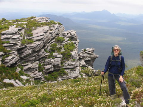 Out Of Sight Tours - Accommodation Brisbane 19