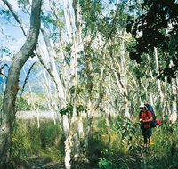 Thorsborne Trail Hinchinbrook Island National Park - Accommodation Brisbane
