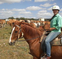 Myella Farm Stay Tours - Accommodation Brisbane