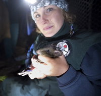 Naturewise at Tidbinbilla - Accommodation Brisbane