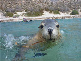 Calypso Star Charters - Accommodation Brisbane 1
