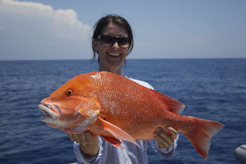 Absolute Ocean Charters - Accommodation Brisbane 3