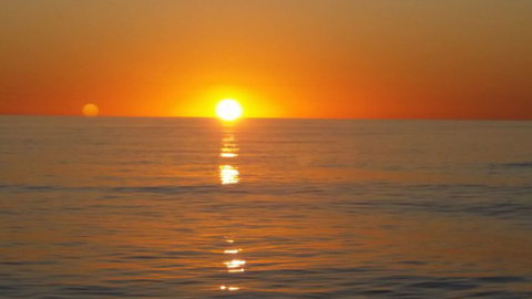 Absolute Ocean Charters - Accommodation Brisbane 14