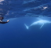 Sunreef Mooloolaba - Accommodation Brisbane