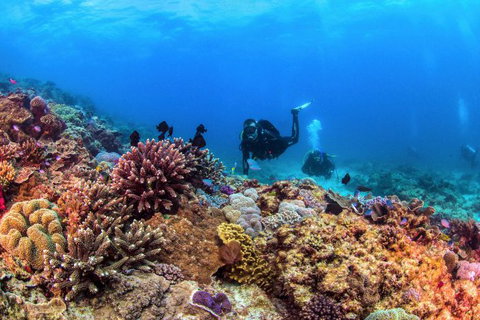 Sunreef Mooloolaba - Accommodation Brisbane 8
