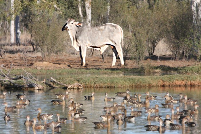 Warenda QLD Accommodation Brisbane