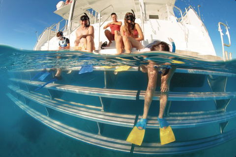 Australian Sunset Safaris - Accommodation Brisbane 0