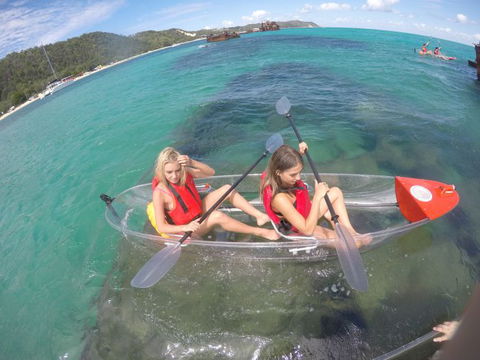Australian Sunset Safaris - Accommodation Brisbane 18
