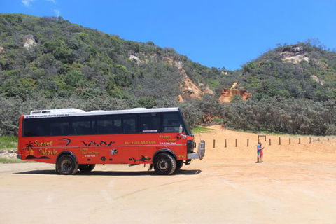 Australian Sunset Safaris - Accommodation Brisbane 44
