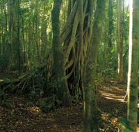 Tullawallal circuit - Accommodation Brisbane