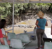 Whitsunday Crocodile Safari - Accommodation Brisbane