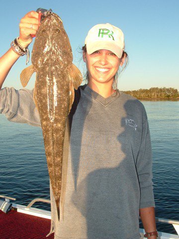 Reel Time Charters Yamba - Accommodation Brisbane 2