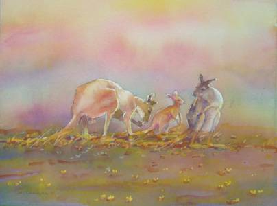 Territory Colours - Accommodation Brisbane 1