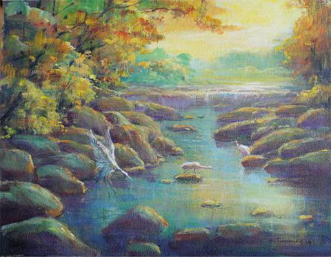 Territory Colours - Accommodation Brisbane 3