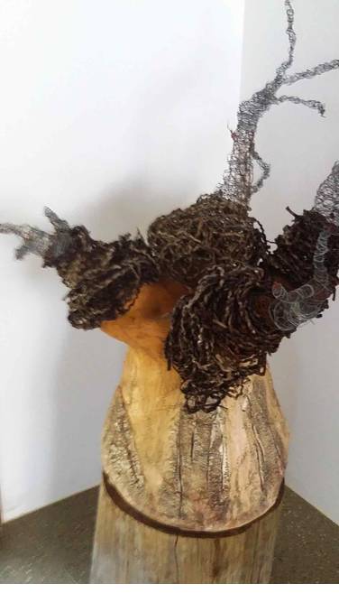 Caldera Wildscapes Gallery - Accommodation Brisbane 0