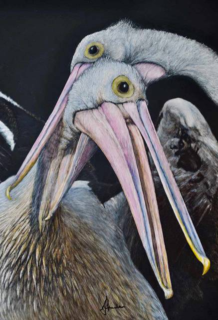 Caldera Wildscapes Gallery - Accommodation Brisbane 1