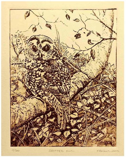 Caldera Wildscapes Gallery - Accommodation Brisbane 3