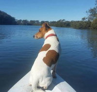 Australis Canoes  Kayaks - Accommodation Brisbane