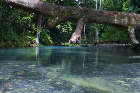 Trek North - Accommodation Brisbane 1
