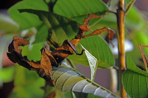 Trek North - Accommodation Brisbane 6