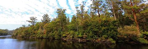 A R Reflections River Cruises - Accommodation Brisbane 0